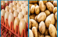 ভারত থেকে আমদানির পর নিম্নমুখী ডিম-আলুর দাম