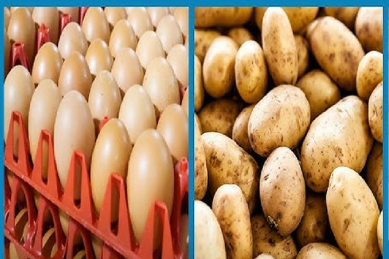 ভারত থেকে আমদানির পর নিম্নমুখী ডিম-আলুর দাম