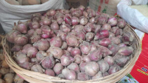 bd onion price 04