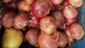 bd-onion-price-05