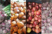 বাজারে বিভিন্ন ধরনের পেঁয়াজ, দাম ৮০-২০০ টাকা