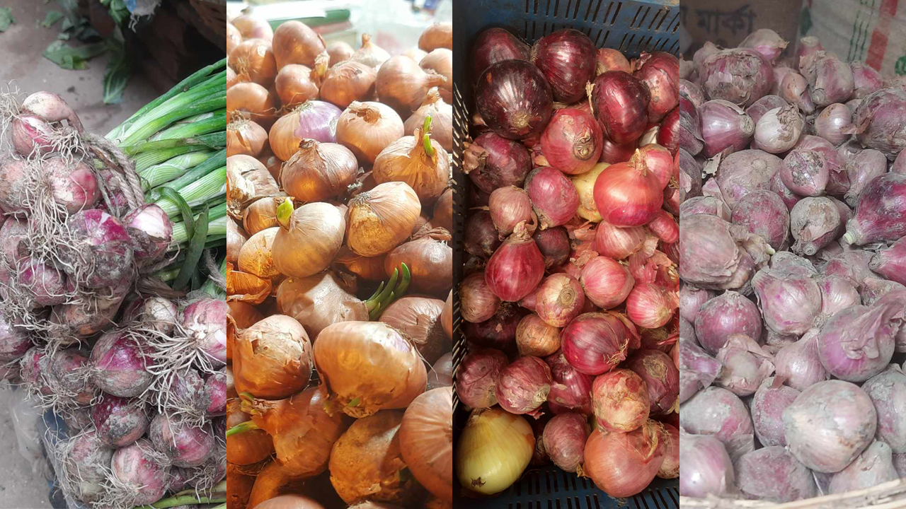 বাজারে বিভিন্ন ধরনের পেঁয়াজ, দাম ৮০-২০০ টাকা