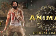 Ranveer's 'Animal' ৩০০ কোটির পথে ছুটছে