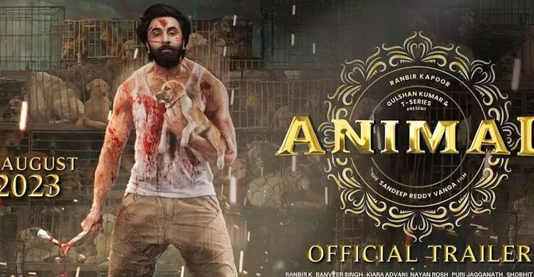 Ranveer's 'Animal' ৩০০ কোটির পথে ছুটছে