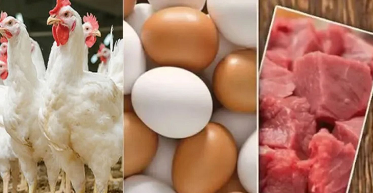 ‘‌জিনিসের যে দাম মাংস খাওয়া ভুলে যেতে হবে’