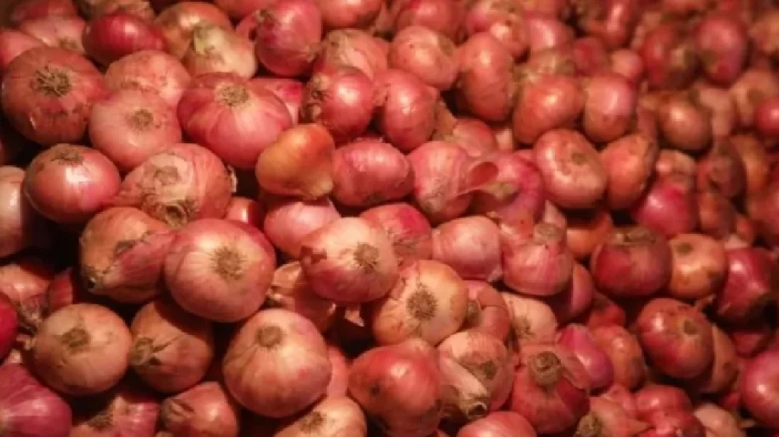 কৃষকের কাছ থেকে পেঁয়াজ কিনে বাংলাদেশে পাঠাচ্ছে ভারত