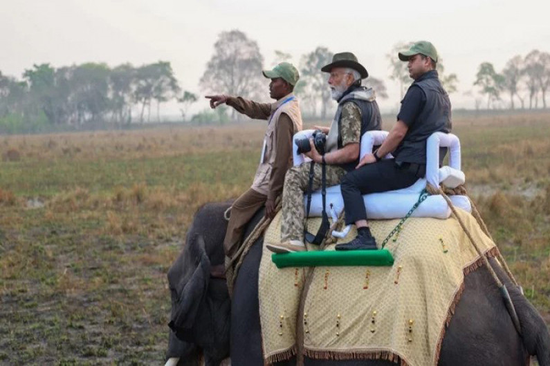 হাতির পিঠে চেপে জঙ্গল ঘুরলেন মোদি