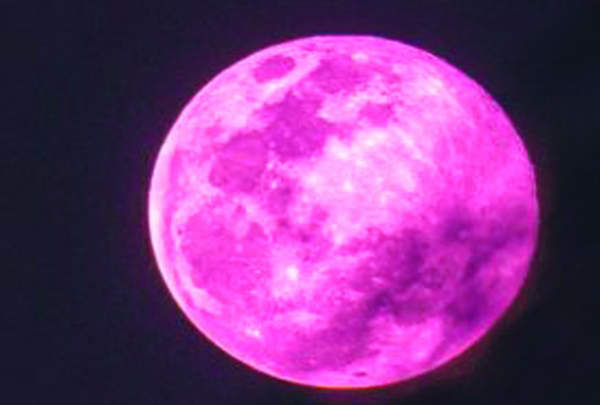 গোলাপি চাঁদ দেখা যাবে বিজ্ঞান ও প্রযুক্তি জাদুঘর থেকে