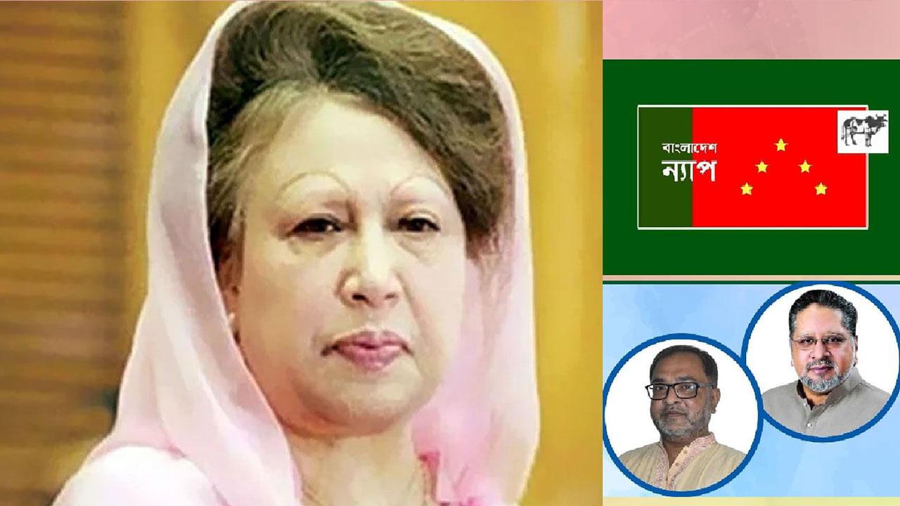 খালেদা জিয়াকে চিকিৎসার জন্য বিদেশে পাঠানোর দাবি ন্যাপের